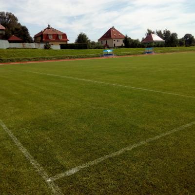 Stadion 23